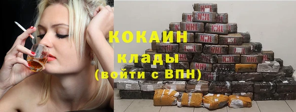 прущие грибы Беломорск