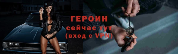 прущие грибы Беломорск