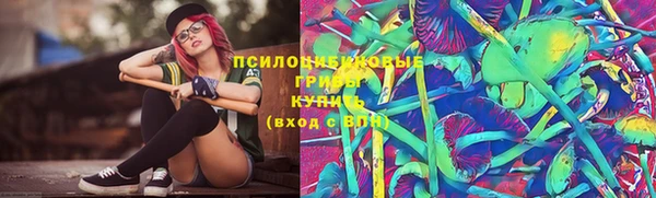 прущие грибы Беломорск