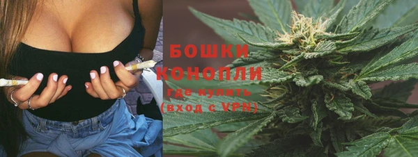 прущие грибы Беломорск