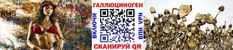 закладка  Малмыж  Псилоцибиновые грибы MAGIC MUSHROOMS 
